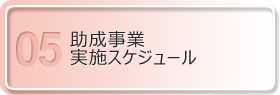 助成事業実施スケジュール