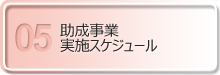 助成事業実施スケジュール