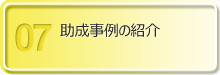 助成事例の紹介
